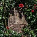 degustacija vina i sira