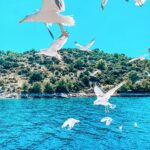 kornati
