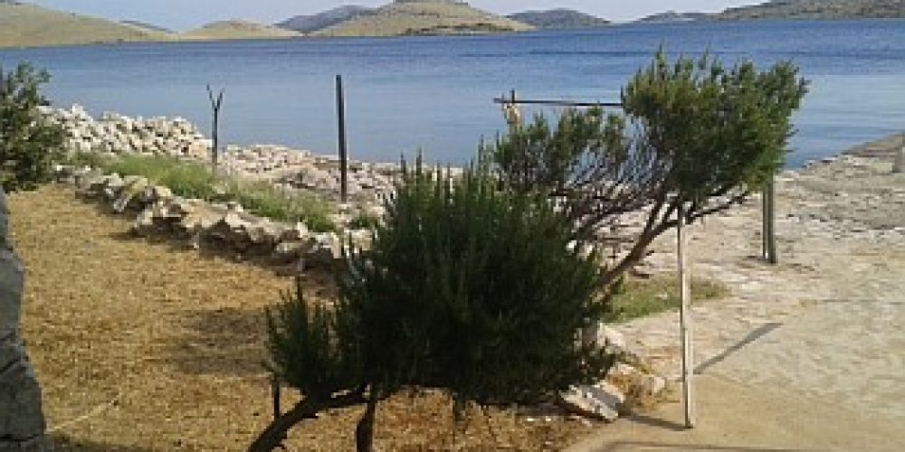 Holiday house Šipnata